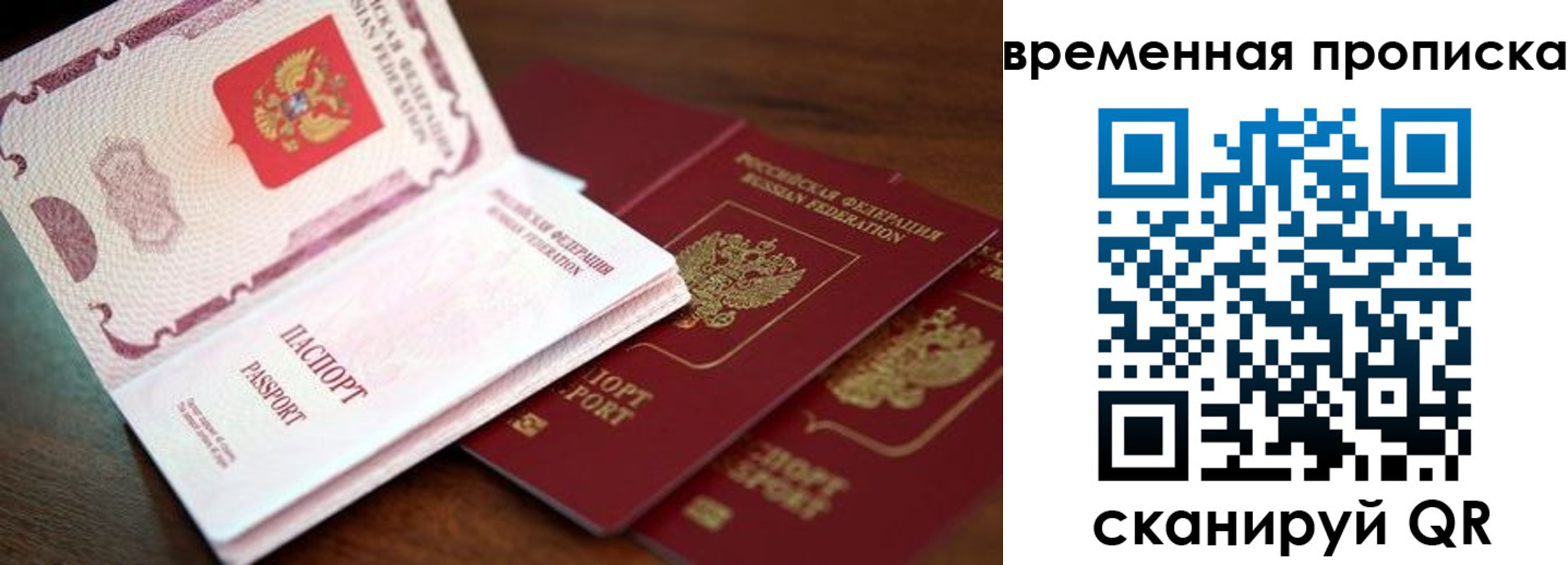 прописка гарантия в Луге